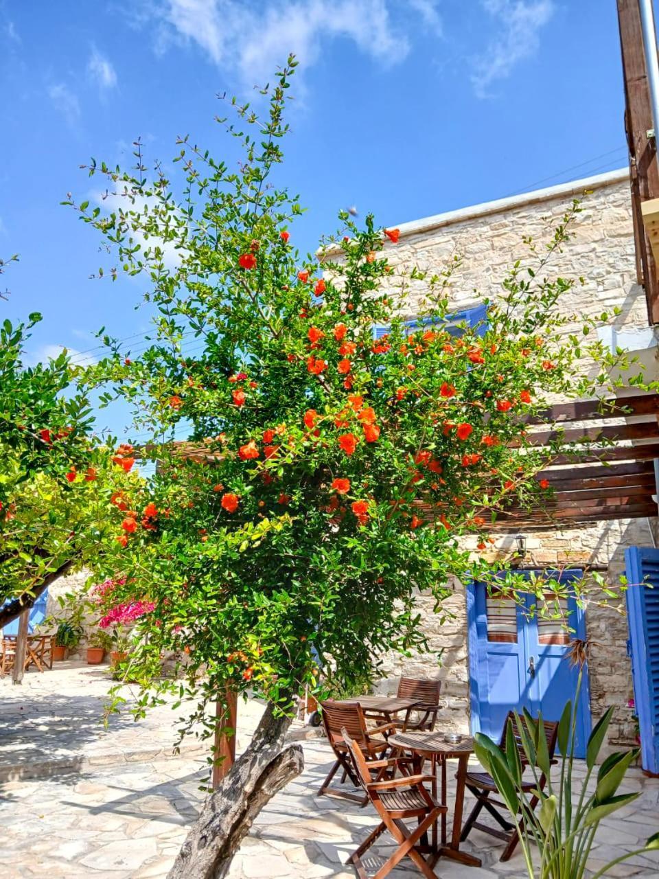 Апартаменты Athena'S Pool Oasis Скарину Экстерьер фото